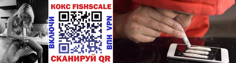COCAIN Fish Scale  Купить закладки  Сибай 