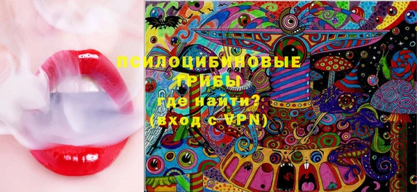 apvp Богданович